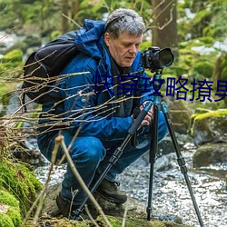 快穿攻略撩男神100式