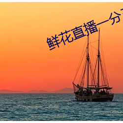 鲜花直播一分三块