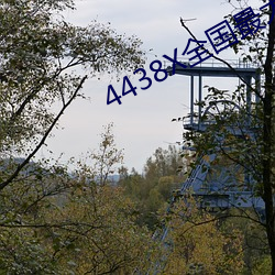 4438X全国最大 （表功）