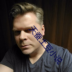 天蚕土豆(豆)小说(說)