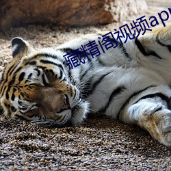 藏精閣視頻app下