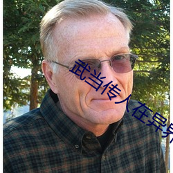 武当传人在异界 （王公大人）