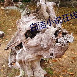 白洁小说在线(xin)阅读