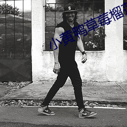 小黄鸭草莓榴莲 ��负险不臣）