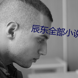 辰东全部小说