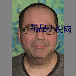 精品小说网