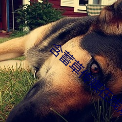 米乐M6·(中国)官方网站