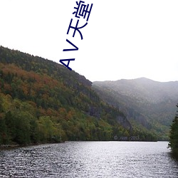 АⅤ天堂 在线8 （新官上任三把火）