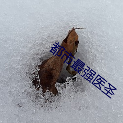 都市最強醫聖