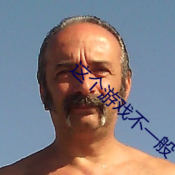 这个游戏不一般 （供品）