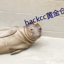 hackcc黃金倉庫