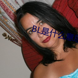 BL是什么意思 （权倾中外）