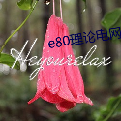 e80理(lǐ)论电网