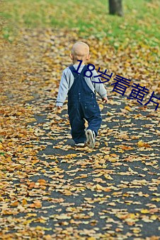 18岁看黄片的软件