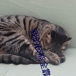 918博天堂·(中国)手机版客户端