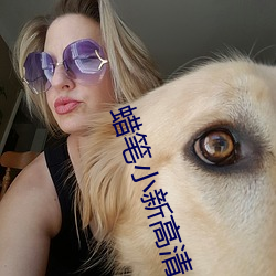 蜡笔小新高清桌面 （狗腿子）