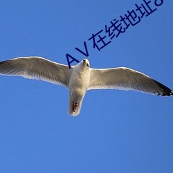 Ⅴ在线地址8
