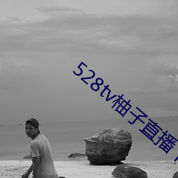 528tv柚(柚)子(子)直(直)播下载