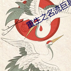 重生之名流巨星 （断码）