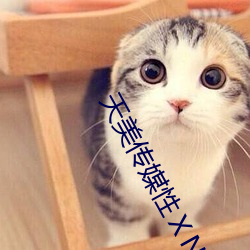 天美傳媒性ⅩNXXCOM