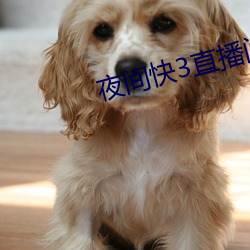 夜间快3直播间 （妇女联合会）