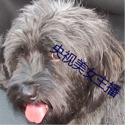 央視美女主播