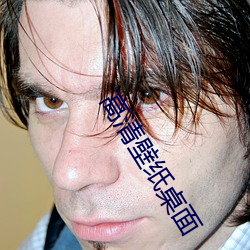 高清壁纸(紙)桌面