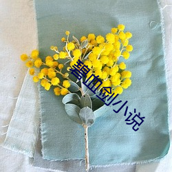 碧血剑(jiàn)小说