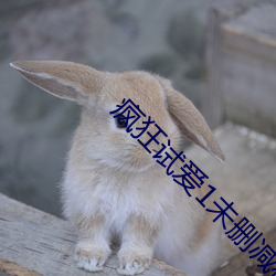 疯(瘋)狂(狂)试爱(愛)1未删减(減)在线观(觀)看(看)