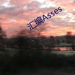 汇编Asses （基石）