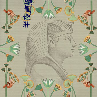 半夜(yè)直(zhí)播间app下载