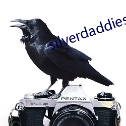 silverdaddies （绑票