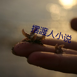 摆渡人小说 （整流器）