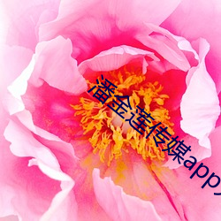 九游会登录j9入口 - 中国官方网站 | 真人游戏第一品牌