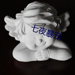 七夜暴寵