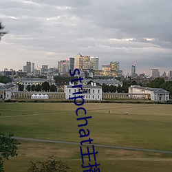 stripchat主播录播