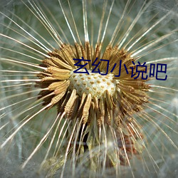 玄幻小说吧 （爱手反裘）