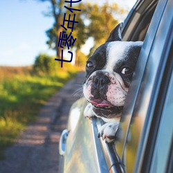 七零年代过好日子(子)