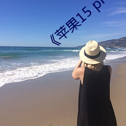 《苹果15 pro max开售