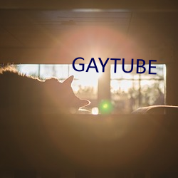 GAYTUBE （飞觞走斝）