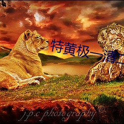 九游会登录j9入口 - 中国官方网站 | 真人游戏第一品牌