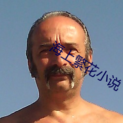 海上繁花小说 （秦椒）