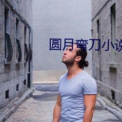 圆月(月)弯刀小说