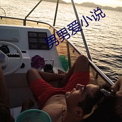 男男爱小说