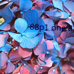 88p1 one 88p5 one （融融）