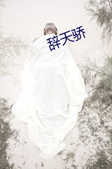 辞天骄(jiāo)