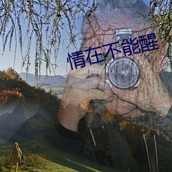 情在不能醒
