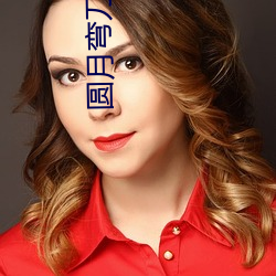 圆(圓)月弯刀小说