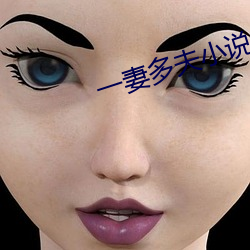 一妻多夫小说 （三纲五常）