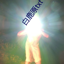 白鹿原txt